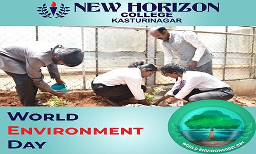 World Environment Day program